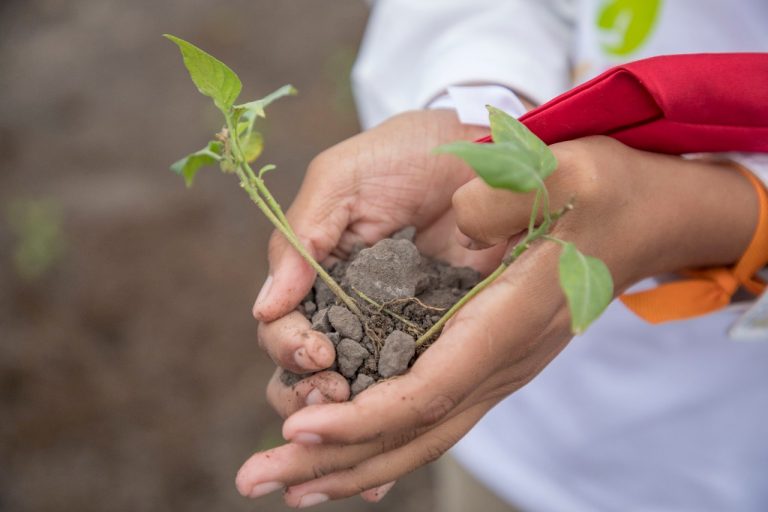 Inicia la reforestación de Tamaulipas con campaña estatal del DIF Estatal y Gobierno del Estado