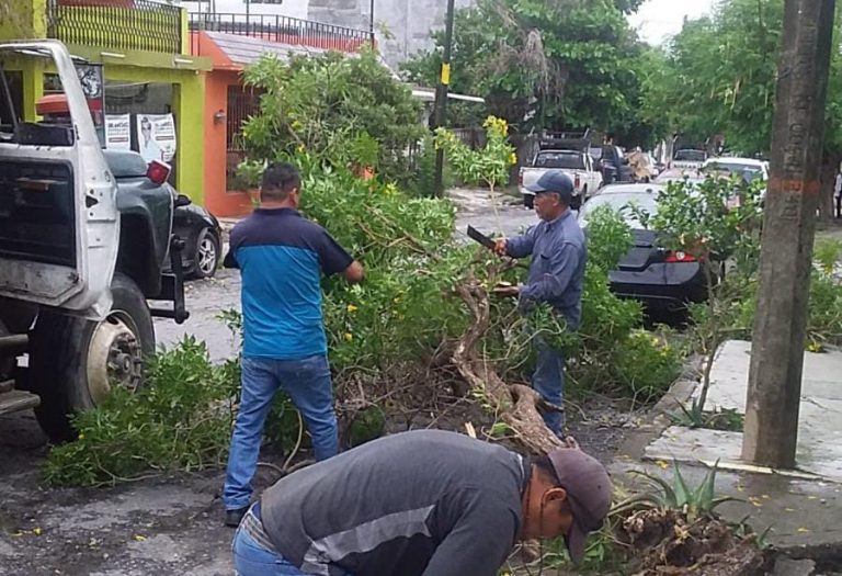 Gobierno municipal intensifica trabajos de rehabilitación y embellecimiento de la ciudad