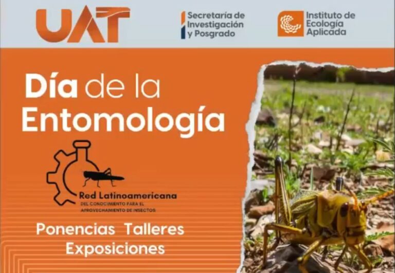 La UAT difunde su investigación y estudios en el campo de la entomología