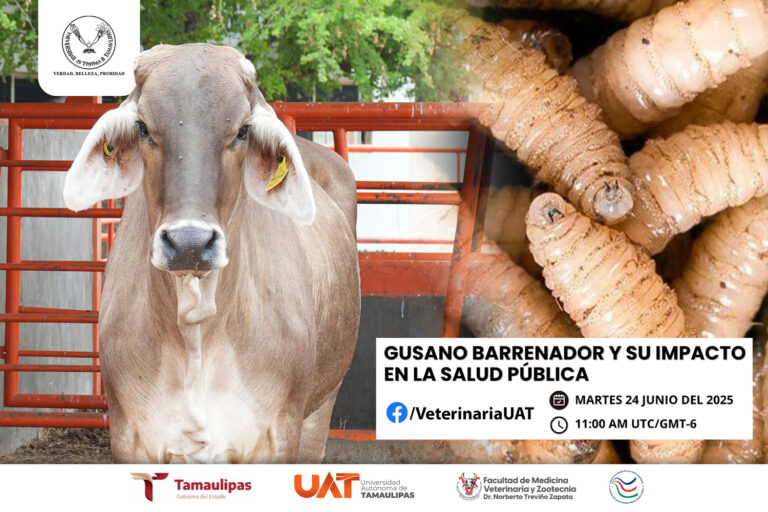 Dará la UAT conferencias sobre gusano barrenador y su impacto en la salud pública Dará la UAT conferencias sobre gusano barrenador y su impacto en la salud pública