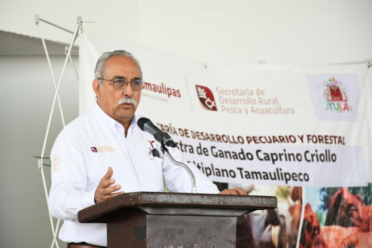 Fortalecen el sector caprino en Tula con muestra regional Fortalecen el sector caprino en Tula con muestra regional