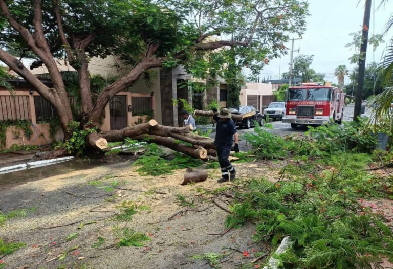 Activa Gobierno de Victoria operativo por periodo de lluvias
