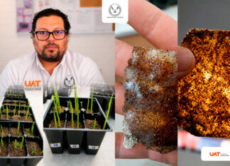 Patenta la UAT bioplásticos que recuperan suelos erosionados